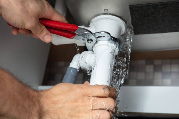 Best Mold removal after water damage  in Wheatland, CA
