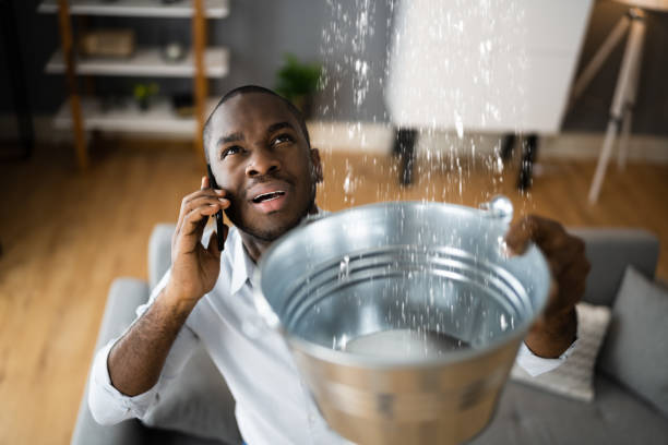 Best Flooded house restoration  in Wheatland, CA