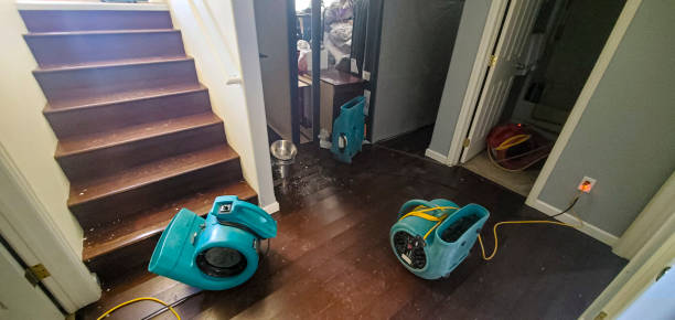 Best Water damage contractors near me  in Wheatland, CA