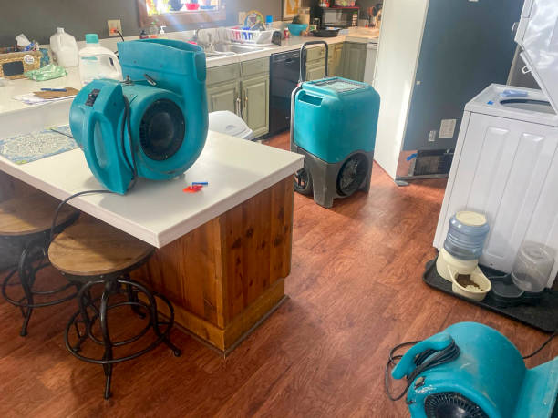 Best Flood damage cleanup  in Wheatland, CA