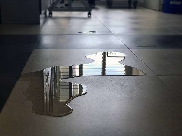 Best 24/7 water damage repair  in Wheatland, CA