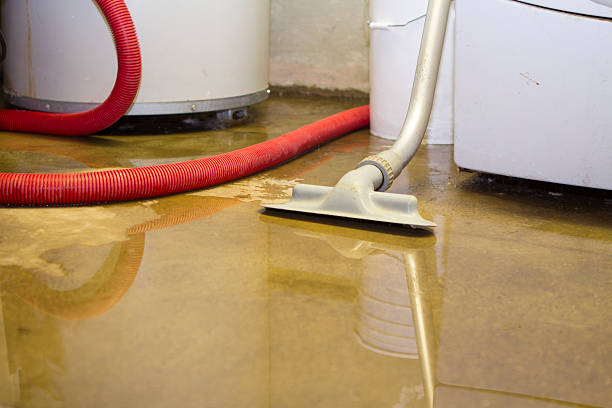 Best Sewage cleanup and water damage restoration  in Wheatland, CA