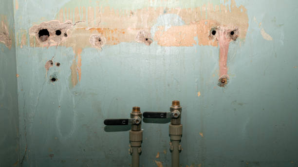 Best Sewage cleanup and water damage restoration  in Wheatland, CA